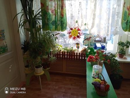 Уголок природы Уголок природы
